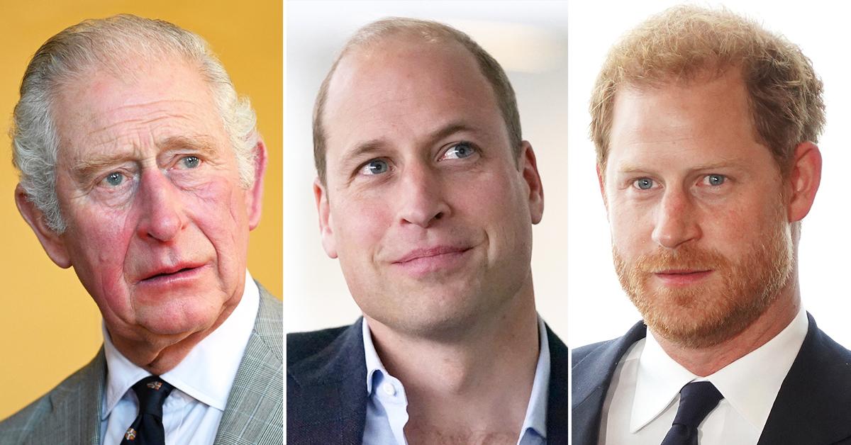 Prince Charles, William Told Harry He Was 'Overreacting' To Color Remarks
