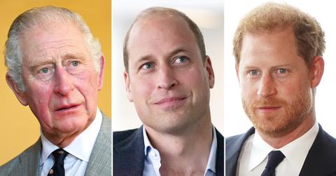 prince charles prince william prince harry overreacting baby skin color remarks