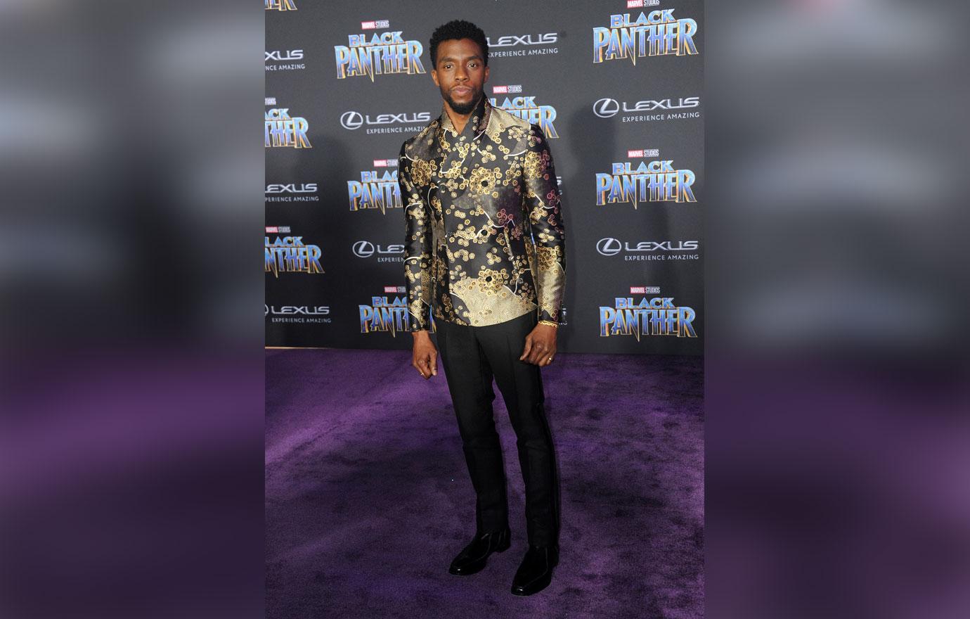 The black panther premiere red carpet 5