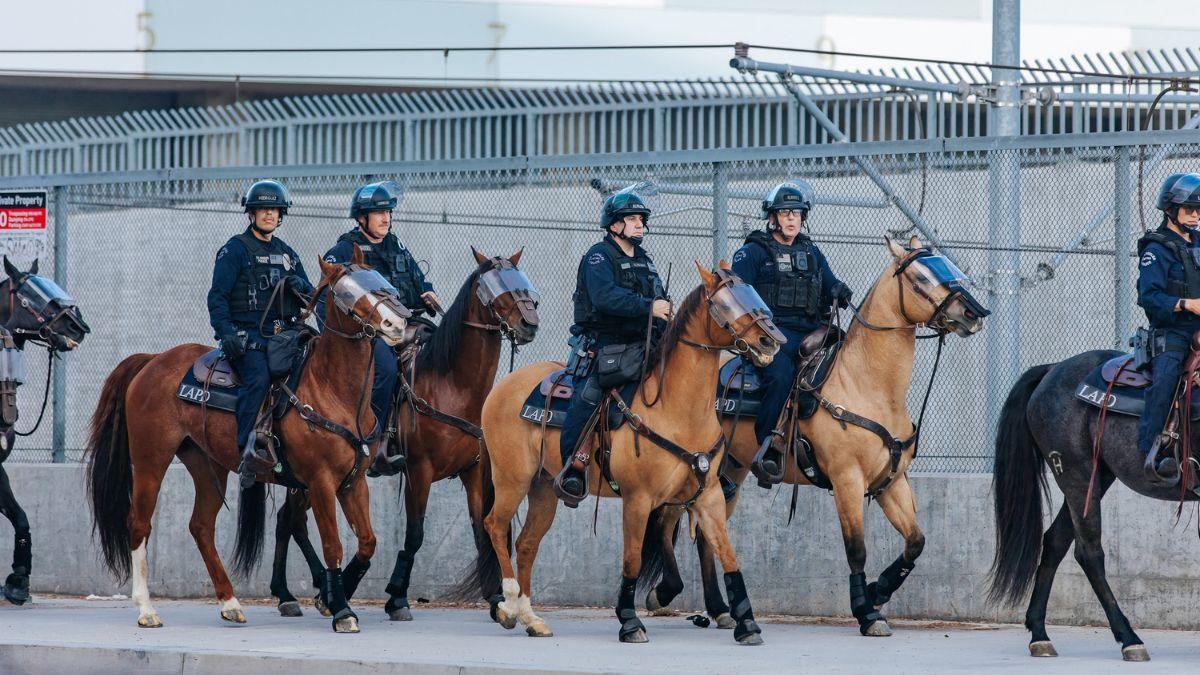 Image of More than 70 arrests followed the nighttime escalation.