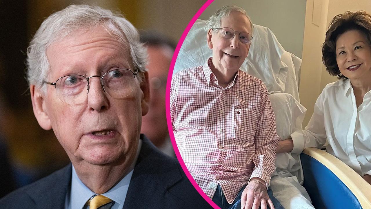 pic of Mitch McConnell