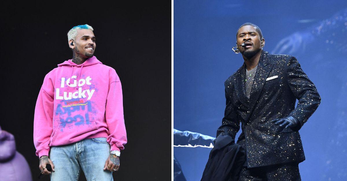 image of The fan explained that her reaction would have been different if Chris Brown had invited her onstage instead.