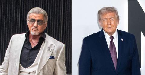 sylvester stallone turned down donald trump ambassador role