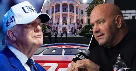 Composite photo of Donald Trump and Dana White.