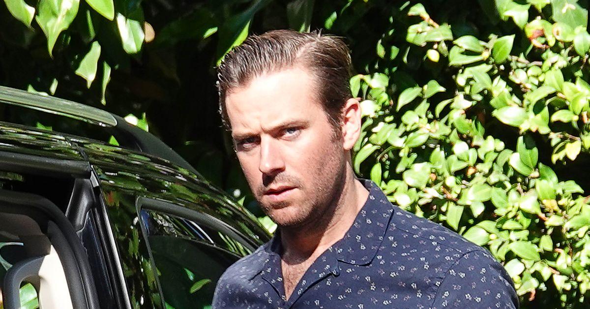 armie hammer pp