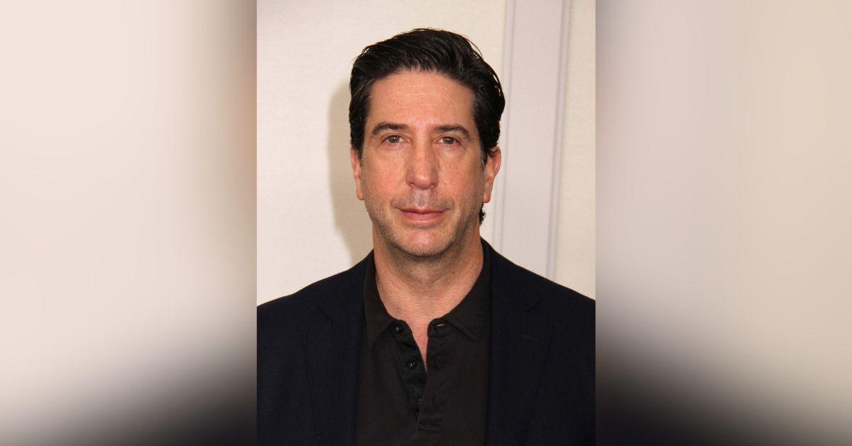 david schwimmer served rod stewart divorce papers