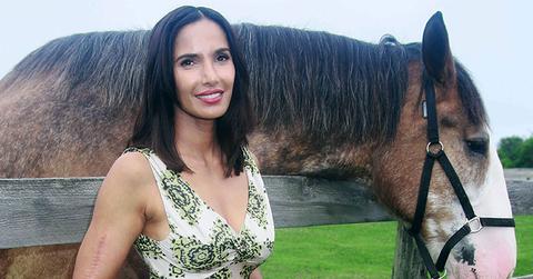 Padma lakshmi gorgeous green dress james beard honor main