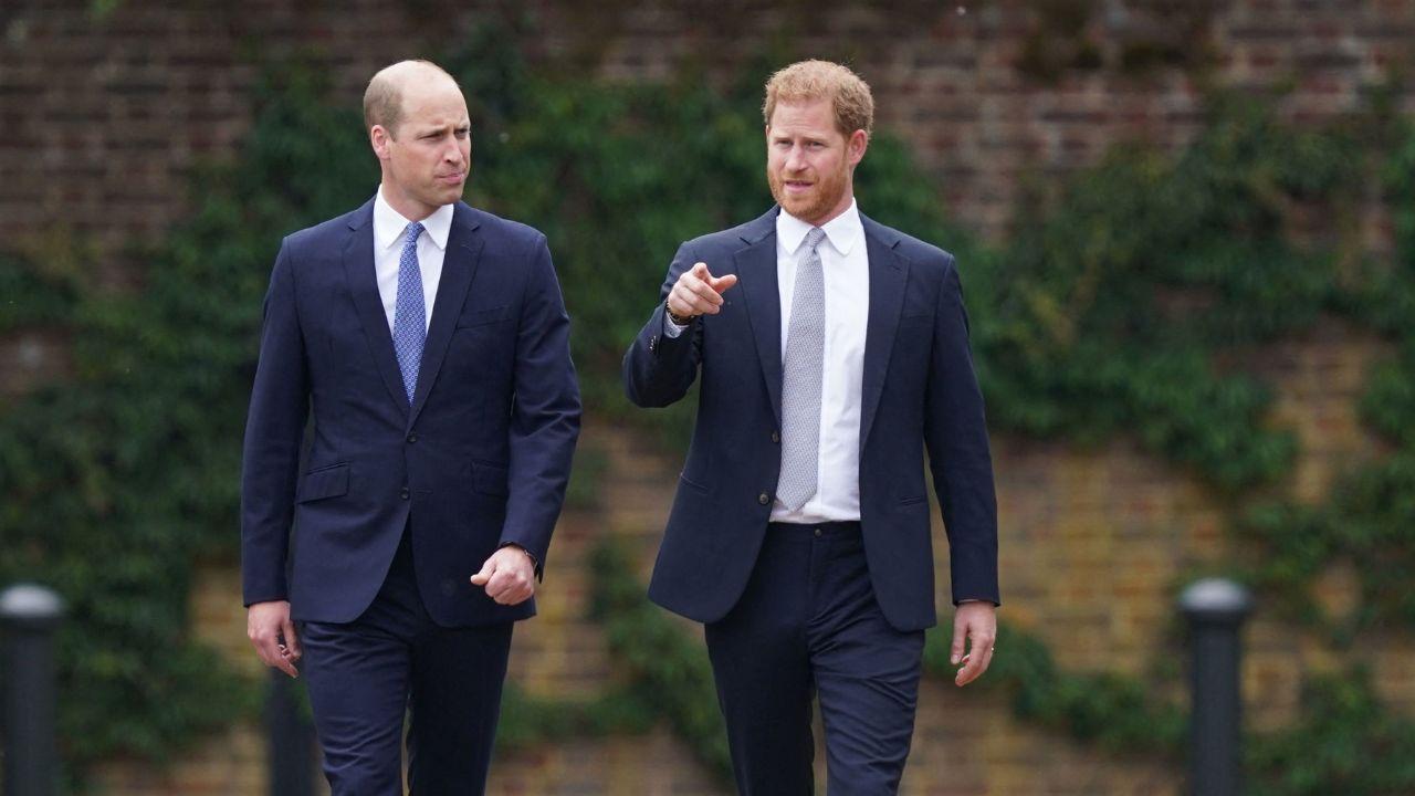 image of harry and william 