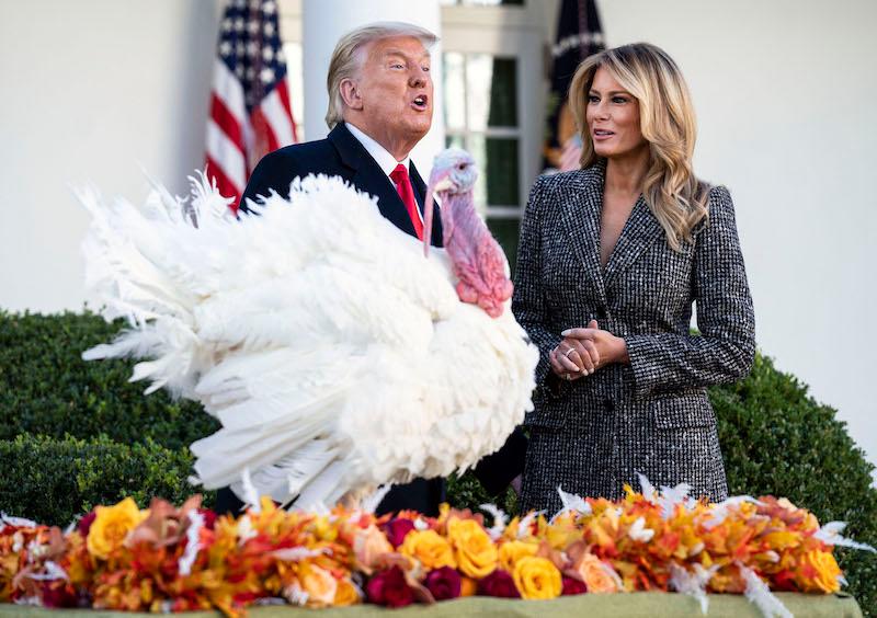 melania trump donald calls mercedes