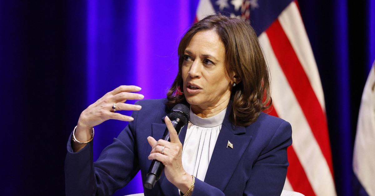 Vice President Kamala Harris 'Worried' About The 2024 Election