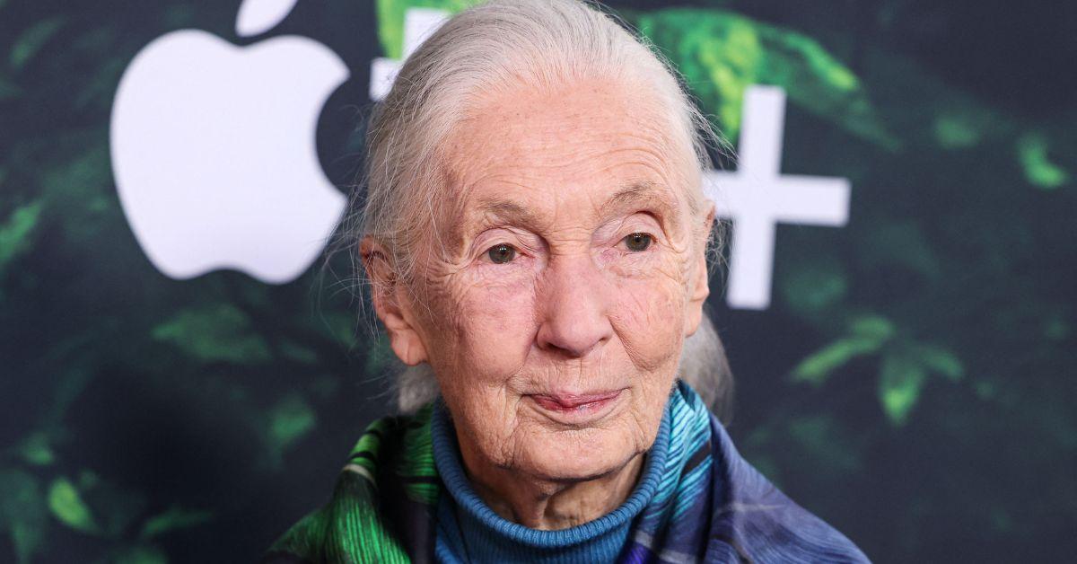 jane goodall life in photos animal welfare activist dead at