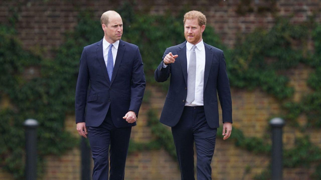 image of harry and William