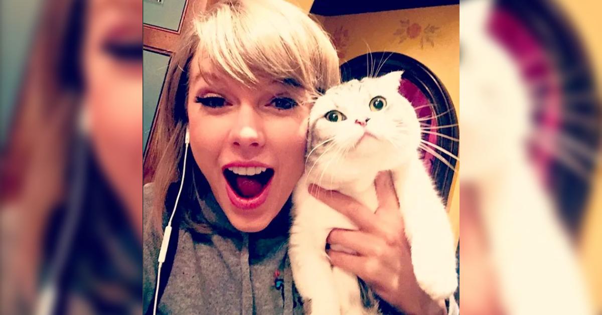 taylor swift ellen pompeo mutual respect click friends