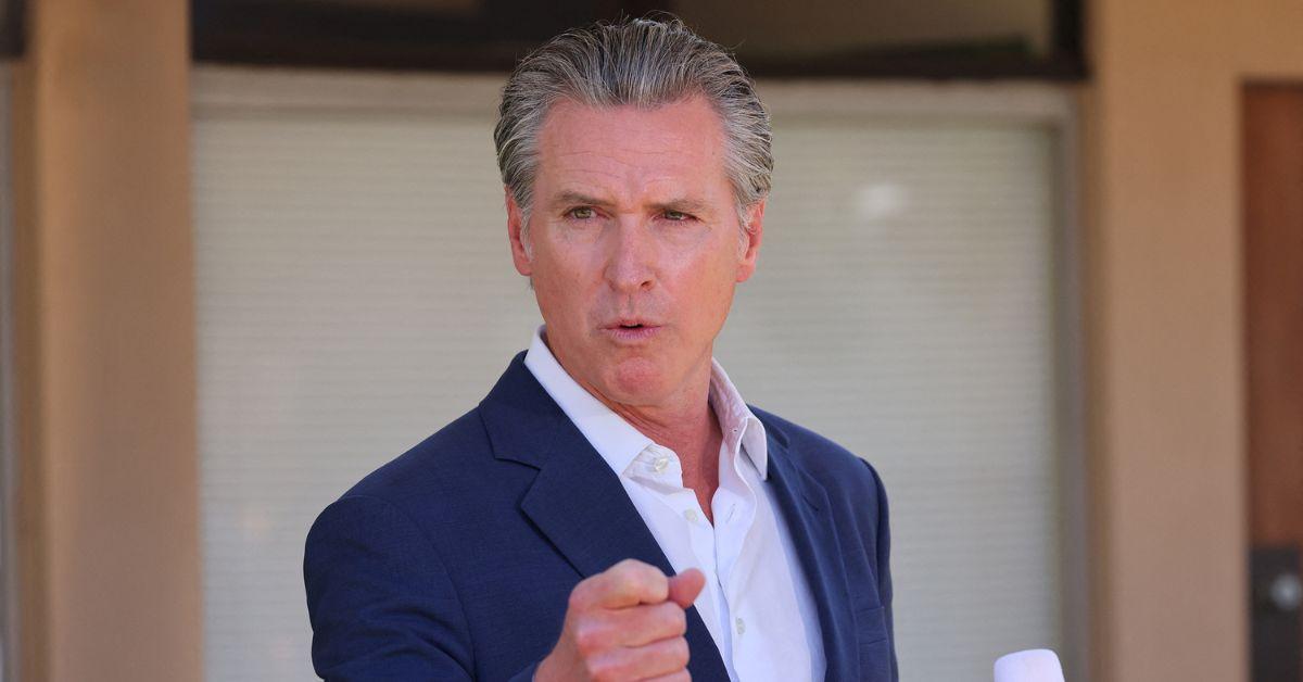 image of Gavin Newsom said Halle Berry didn’t know about his future funding plans.