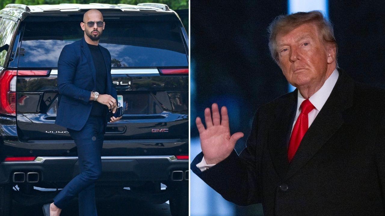 Split photo of Andrew Tate and Donald Trump