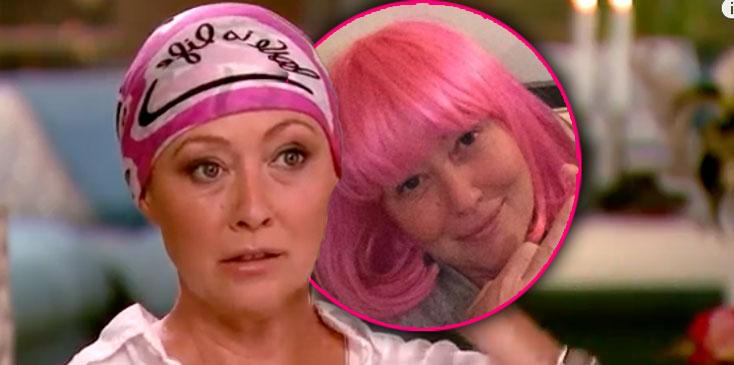 shannon doherty cancer pink wig