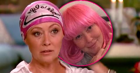 shannon doherty cancer pink wig