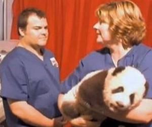 2011__05__Jack_Black_May20 300×252.jpg