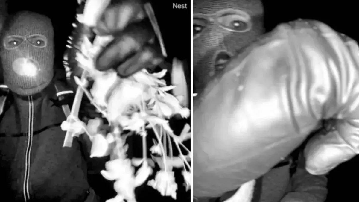 image of The FBI released footage of a masked suspect caught on Nancy Guthrie's front porch on the morning of her disappearance.