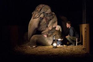 2011__04__Water_For_Elephants_April4newsnea 300×199.jpg