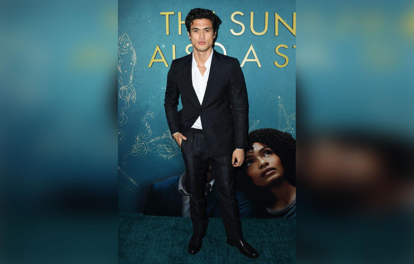 The Sun Is Also A Star Premiere