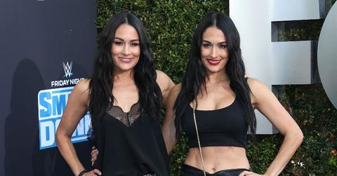 The Bella Twins
