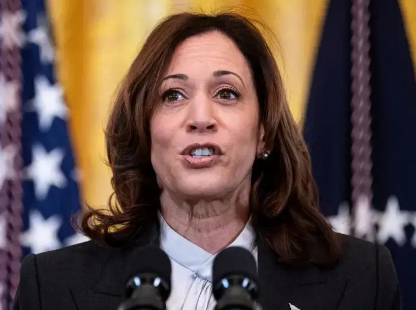 hulk hogan racist body slam kamala harris joke abusing woman ridiculed