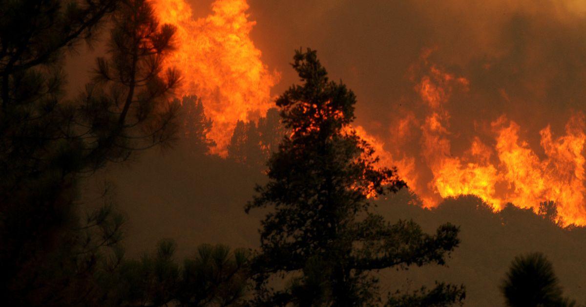 homeless man busted starting one ravaging la wildfires flamethrower