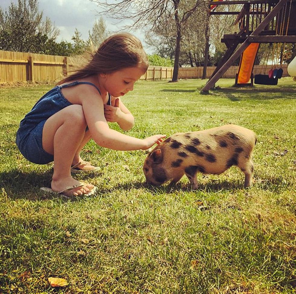 Aubree pet pig teen mom 2