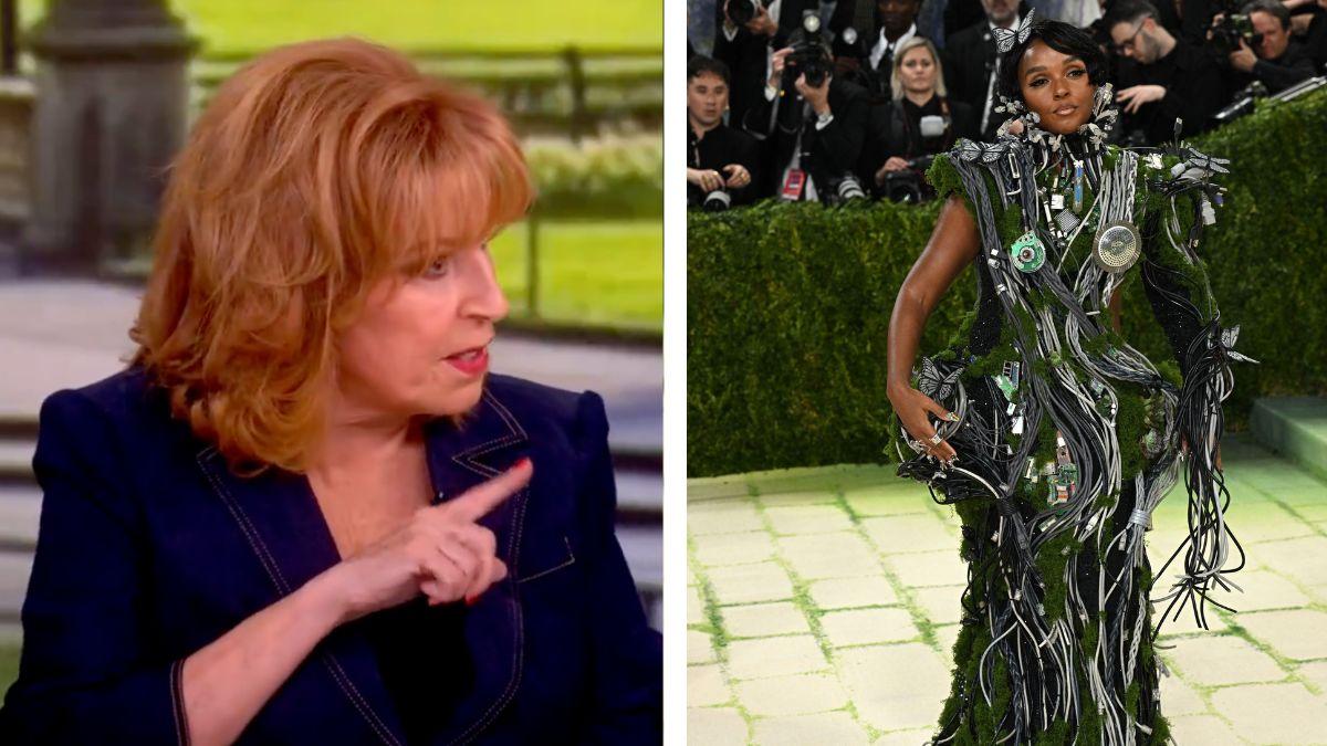 Photo of Joy Behar joked Janelle Monáe 'looked like a tree.'