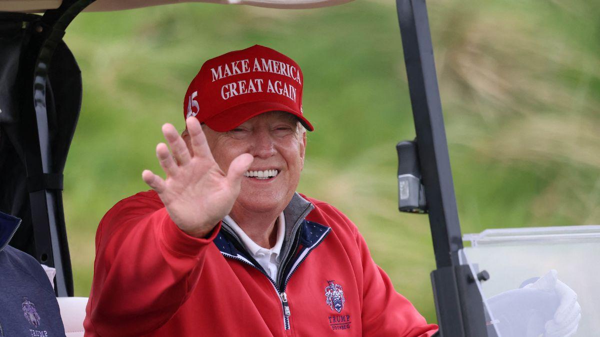 pic of Donald Trump. 