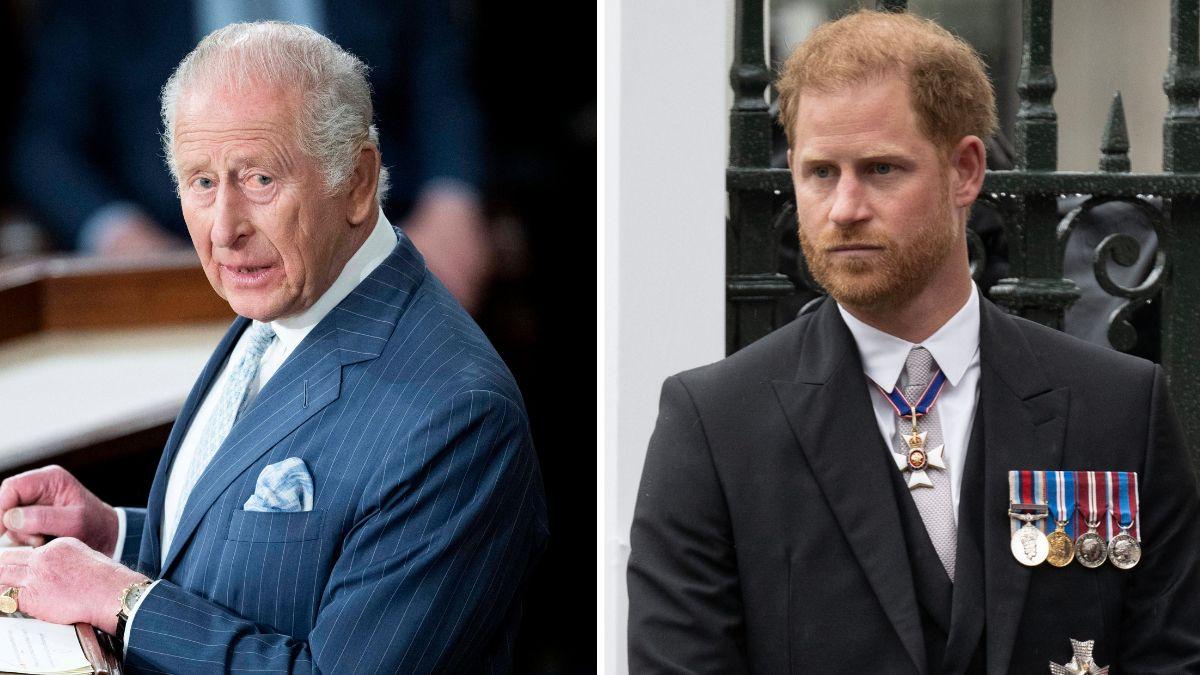 Split photo of King Charles and Prince Harry.