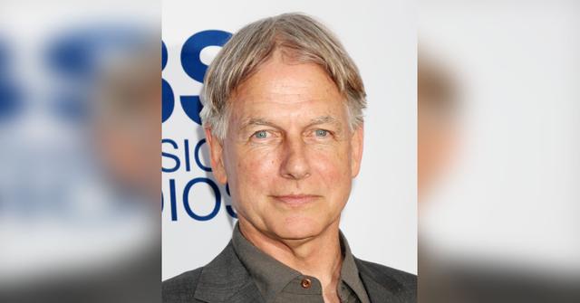 mark harmon spotted first time los angeles dogs leaving ncis agent leroy jethro gibbs ok