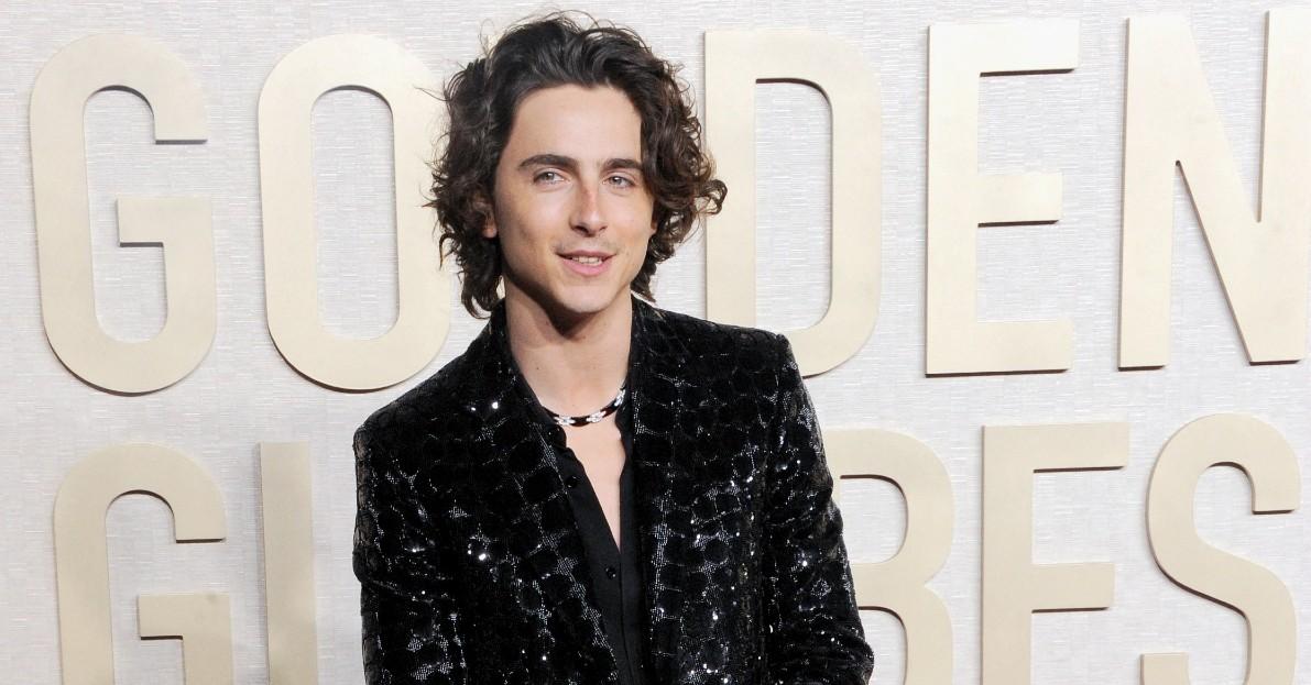 timothee chalamet focus bob dylan biopic not girlfriend kylie jenner