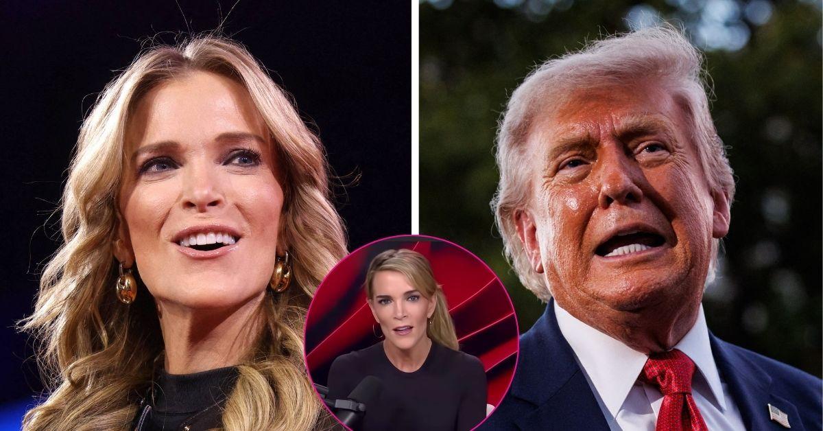 megyn kelly scathing rant about donald trump photo