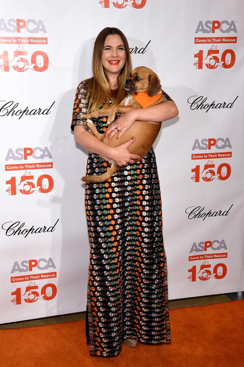 ASPCA Hosts 19th Annual Bergh Ball Honoring Drew Barrymore, Hosted By Nathan Lane With Music By Mark Ronson &#8211; Arrivals