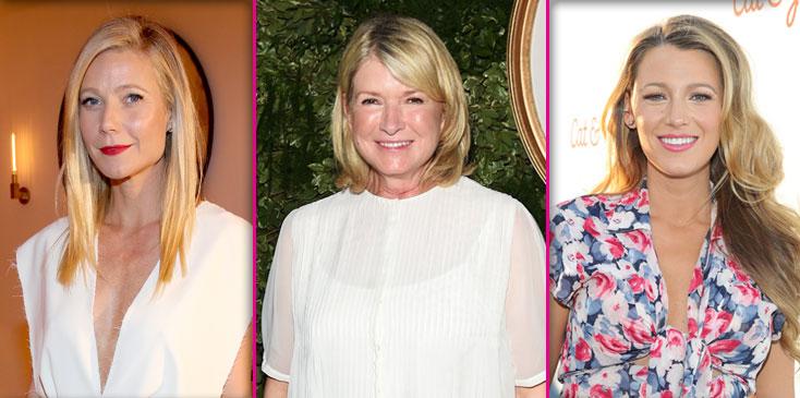 Martha Stewart Celeb Cookbooks Lifestyle Brands Long