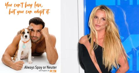 sam asghari slammed partnering peta shamed britney spears