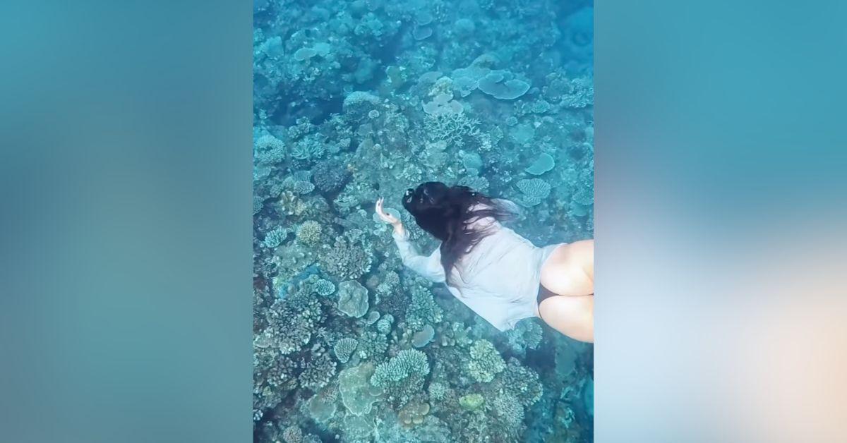 Image of Vittoria Ceretti went scuba diving.