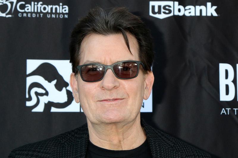 charlie sheen denise ricahrds stands