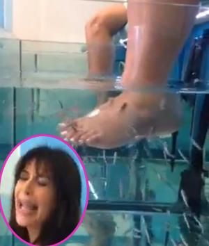 Kim_kardashian_fish_pedicure_video_rotator.jpg