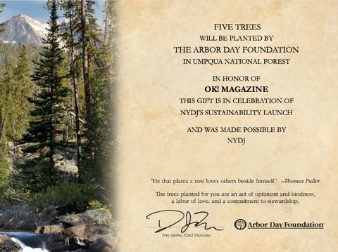 sustainable eco friendly collection nydj plants tree shop