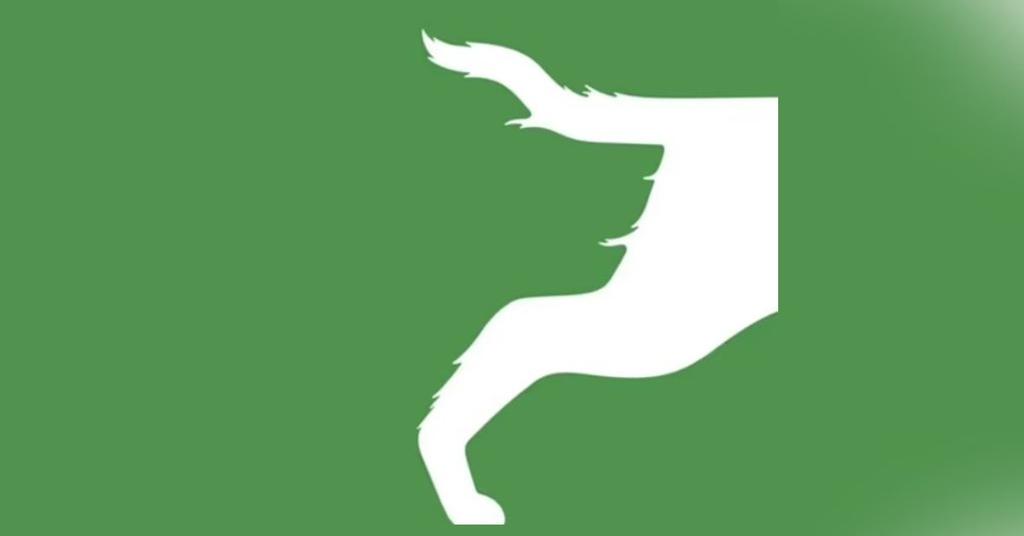 Optical Illusion Shows If You Stand Your Ground Or Avoid Confrontation