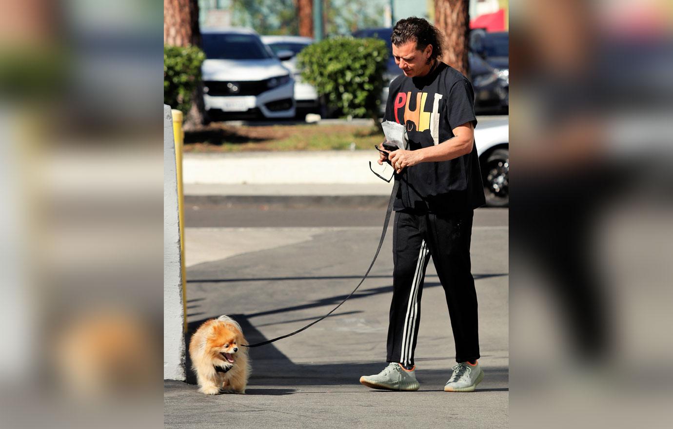 gavin rossdale spotted walking dog los angeles sparking fan concern canceling tour