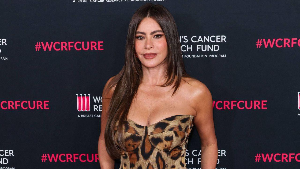 Image of Sofía Vergara remained silent when asked about relationship status on Dan Reynolds.