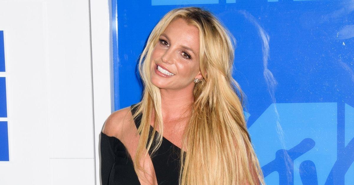 britney spears thrilled two dogs returned housekeeper dispute vet