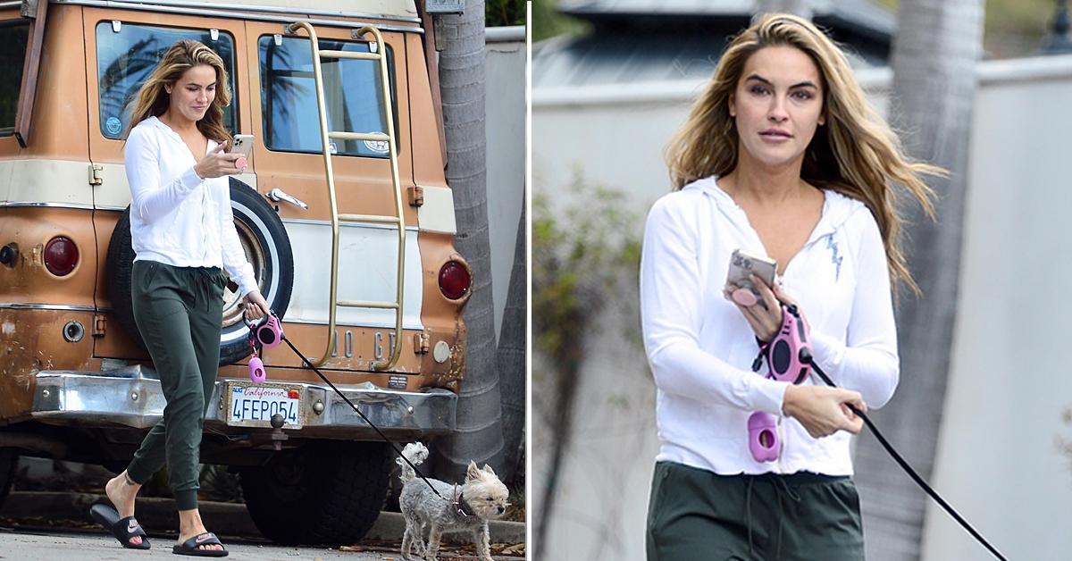 Chrishell Stause Seen With Her Dog Following Keo Motsepe Split — Photos