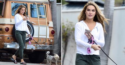chrishell stause walking her dog after break up