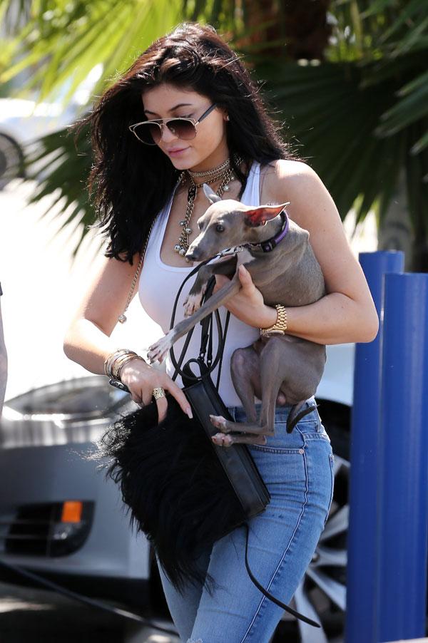 Does Kylie Jenner Miss Bruce? Teen Names Her New Pet Bunny After Her Father