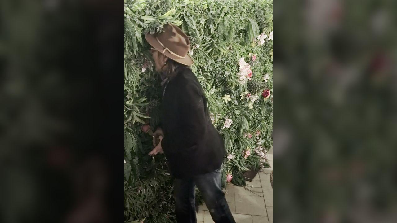 Image of Johnny returned to the decorative wall and took an even bigger bite.